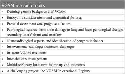 Editorial: Vein of galen malformation: a scientific and clinical journey targeting the best outcome